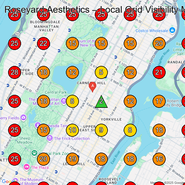 Roseyard Aesthetics GeoGrid visibility map for Medical Office in New York